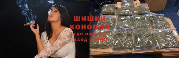 шишки Баксан