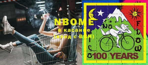 шишки Баксан