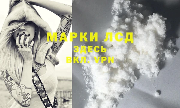 шишки Баксан