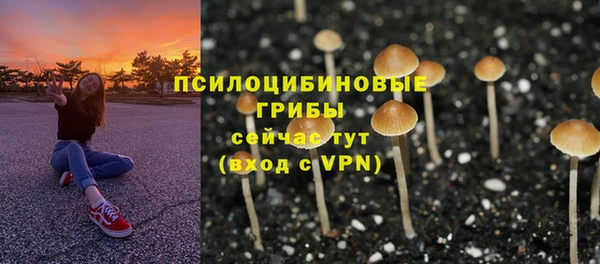 а пвп мука Балахна