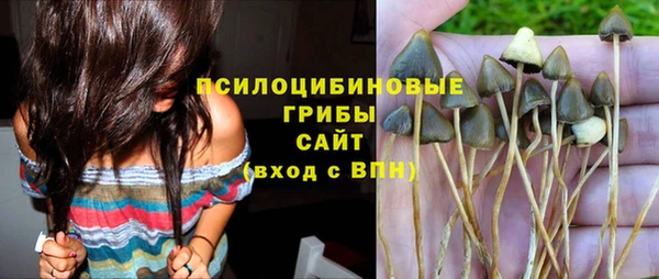 шишки Баксан