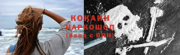 шишки Баксан