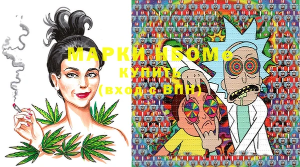 шишки Баксан