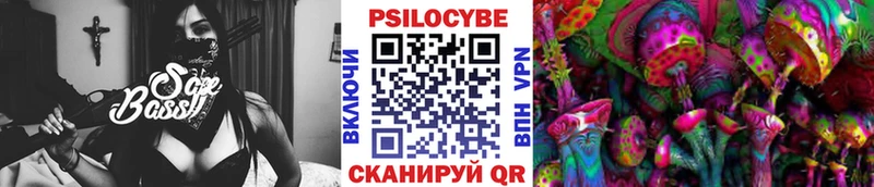 дарнет шоп  площадка как зайти  Галлюциногенные грибы прущие грибы  Петровск 